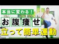 【激痩せ】本当にお腹が細くなる!立ったまま簡単運動 #308