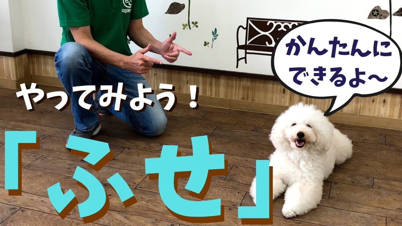 [最も人気のある！] 犬 ふせ 973650犬 伏せて見つめてくる アニメの手の画像