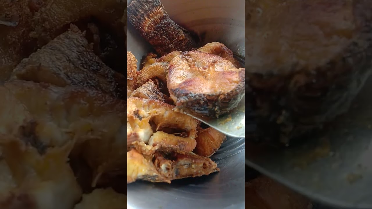 শোল মাছের রান্না। এতো বড়ো 🐟।এই ভাবে রান্না করলে খেতে দারুন লাগে।