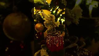 Arbol de Navidad 🎄 en Italia 🇮🇹 #italia #natale #navidad #alberodinatale