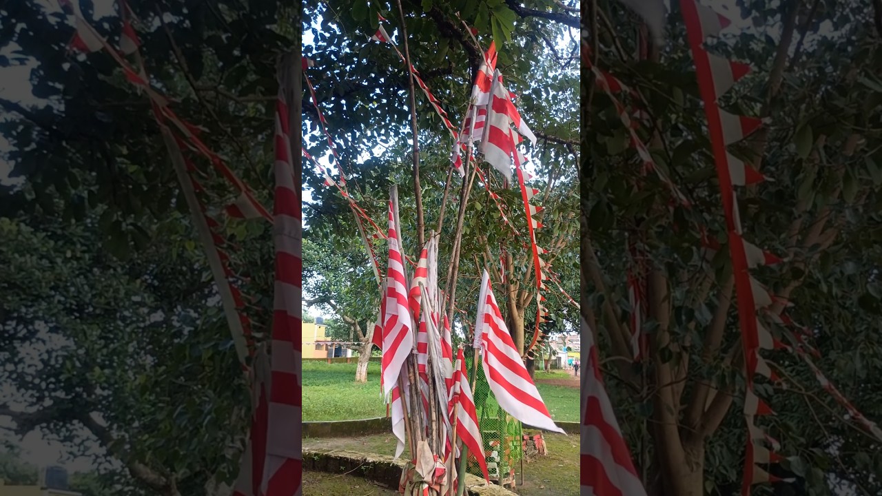 Sarna bhajan // Sarna video // Sarna song 🔯🙏