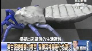 遠古滅絕蜘蛛3D模型 揭曉其神秘進化之謎？！1030709-03