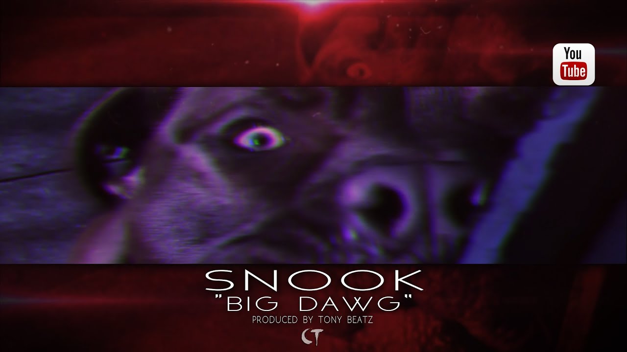 Watch Snook - "Big Dawg" Prod. By Tony Beatz (Promo Video Dir. By CT FILMS) on YouTube Watch Snook - "Big Dawg" Prod. By Tony Beatz (Promo Video Dir. By CT FILMS) on YouTube