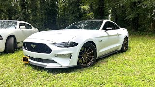 Dodge Charger disrespects Mustang and learns a lesson 🤦🏾‍♂️