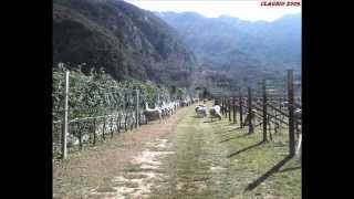 Scatto Del Mese - Aprile 2009