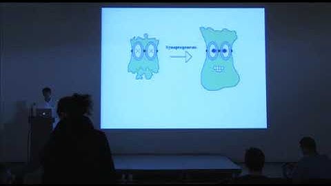 Todd Gannon (October 9, 2009)