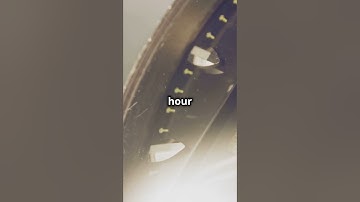 How to Navigate Without a Compass: Nature’s Clues! 🌞🌌