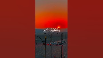 تلاوة هادئه للقارئ علي جابر | أكتب شيء تؤجر عليه 💗