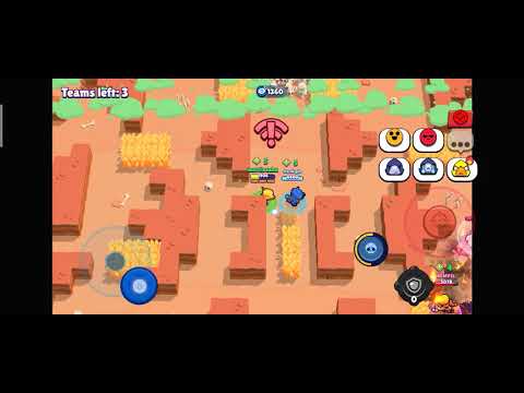 ჩემი საუკეთესო მეგობარისთან გეიმფლეი