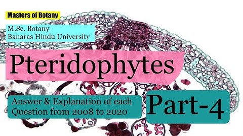 Pteridophytes: Part-4 | BHU M.Sc. Botany Entrance Exam | Answer & Explanation [2008-2020 Questions]