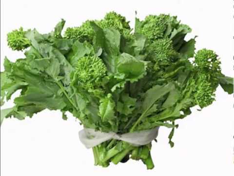 Rapini Vegetable Health Benefits