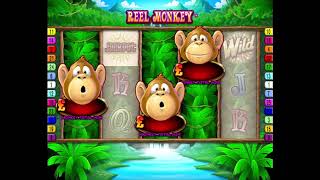 Slot game Reel Monkey