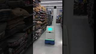 Robot of Lakeside Walmart