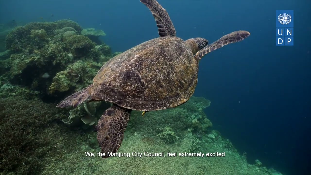 Sustainable Tourism Recovery Project in Malaysia