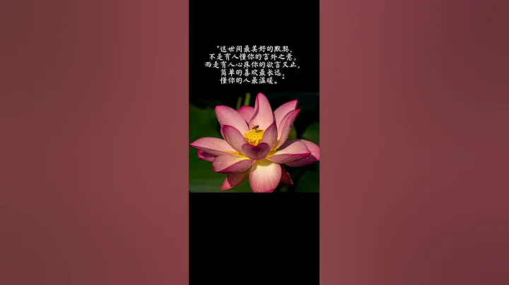 「這世間最美好的默契，不是有人懂你的言外之意，而是有人心疼你的欲言又止，簡單的喜歡最長遠... #shorts - 天天要聞