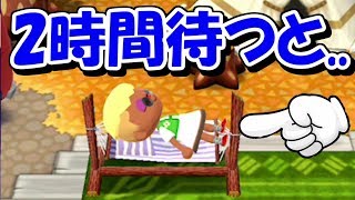 ポケ森 ハンモックに2時間放置してみると どうぶつの森ポケットキャンプ とらいあんぐる Youtube