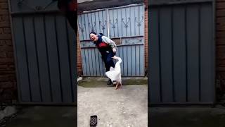 5 Creatures That Need a Warning Label #Animal #AnimalFacts #Nature