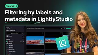 Filtering by labels and metadata in LightlyStudio