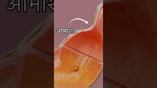 Human digestive system ||3d animation ||by praveen bhati || science experiment bharunda