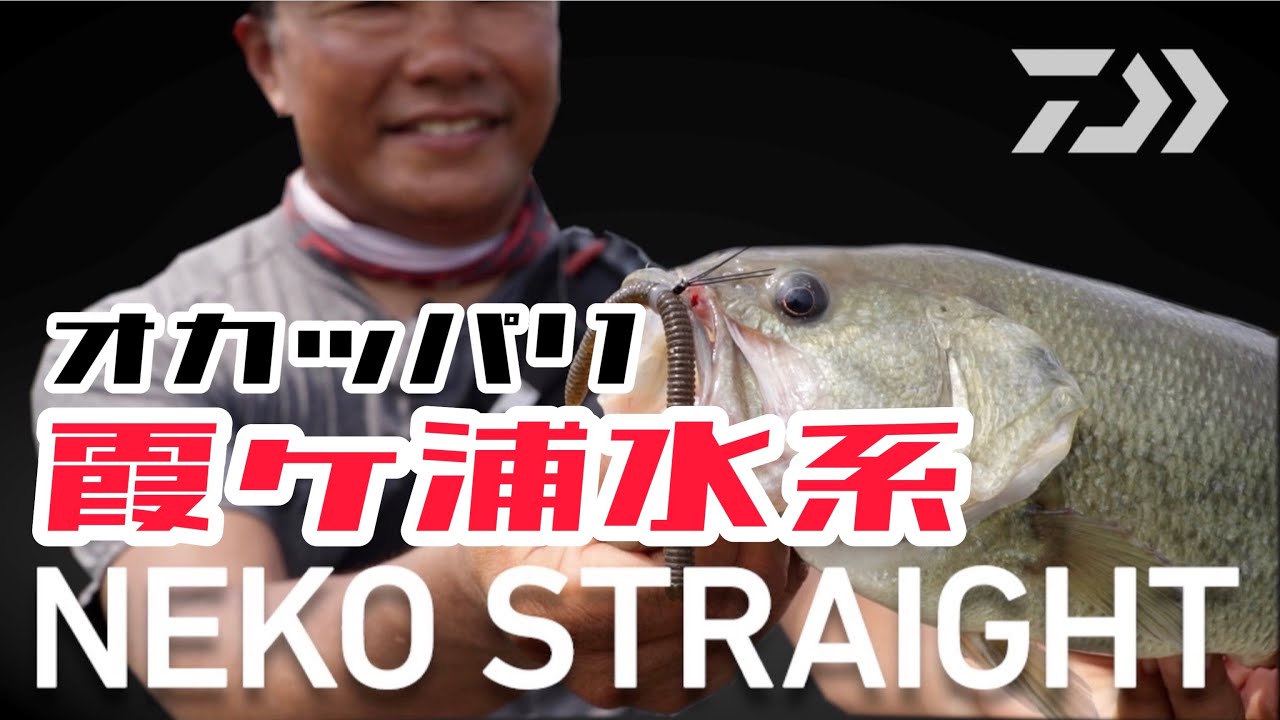 Daiwa スティーズ ネコストレート Web Site