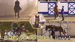 【POG】2歳馬カタログ2024 Part.1 / JRA-VAN[公式]