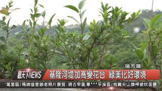 1040908觀天下新聞HD04 瑞芳區基隆河堤加高變花台 綠美化好環境