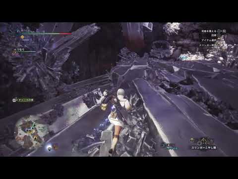 Mhw 超簡単 大量の調査ポイント アイテムを稼ぐ方法とルートを詳しく解説 モンハンワールドアイスボーン準備動画 Youtube