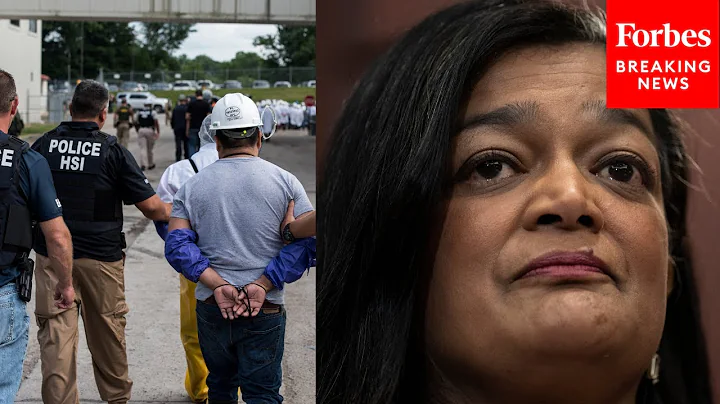 Pramila Jayapal Asks Econ Professor About 'Economic Harm' Caused By Mass Deportations