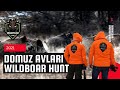 DOMUZ AVLARI | SEZONDAN GERİYE KALANLAR [2021] | WILDBOAR HUNTING [2021] | ОХОТА НА ДИКОГО КАБАНА