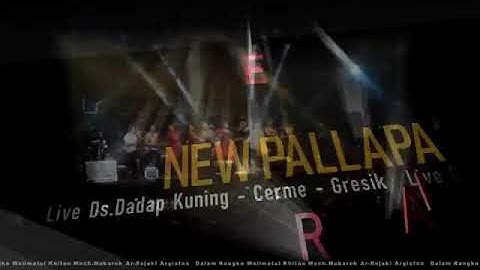 HANING - LALA WIDI (NEW PALAPA)