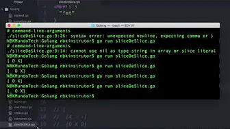 cursos/0010-aprenda-golang: Como Criar Pedaços de Pedaços na Linguagem Go (Matrix / Array de Duas Dimensões)