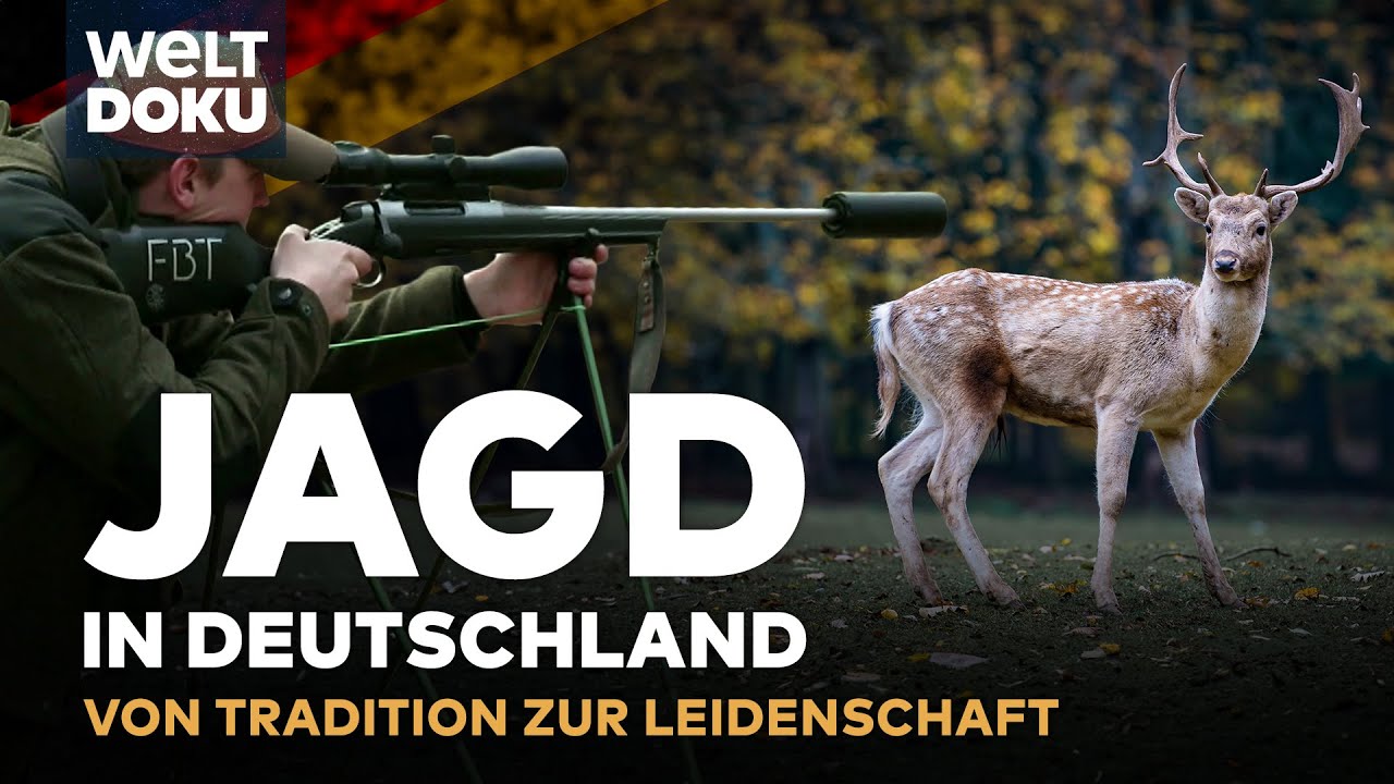 Spannungsfeld Wild und Wald - Neue Jagdstrategien für Rheinland-Pfalz