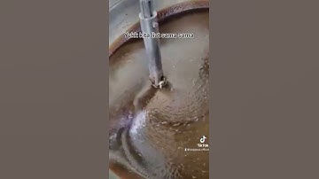 Thumbnail of RESEP SAMBAL PETIS - SAMBAL PETIS BOGAJAYA TERENAK SEDUNIA! - TOKO BOGAJAYA OLEH-OLEH