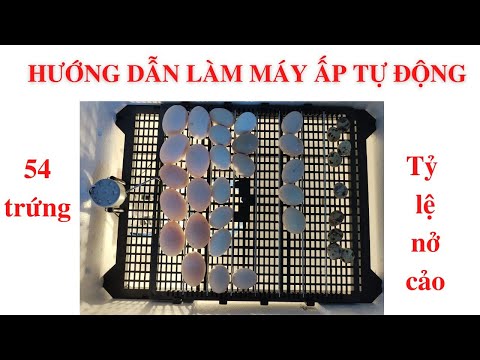 Video Hướng dẫn cách làm máy ấp trứng tự động 54 trứng cho... - youtube