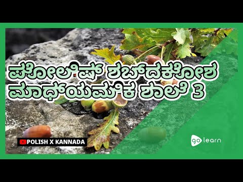 ಪೋಲಿಷ್ ಶಬ್ದಕೋಶ ಮಾಧ್ಯಮಿಕ ಶಾಲೆ 3 | Golearn