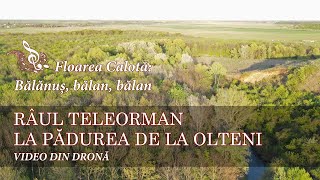 A 4K Drone Video Of Teleorman River In The Olteni Forest Romania