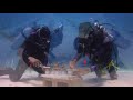 Earth Day 2010 NOAA Dives Coral Restoration Sites