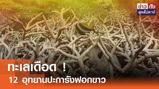 ทะเลเดือด ! 12 อุทยานปะการังฟอกขาว | ข่าวดัง สุดสัปดาห์ 11-05-2567