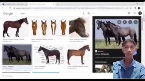 Pt 2-3 Integrating Images and External Materials in Word Processors.