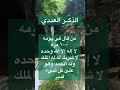 الذكر العددي الشيخ سعيد بن مسفر