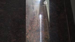 Oil Stains on Floor? Try This 30-Second Trick! 😱✨ #shorts #Vasunaveenasri