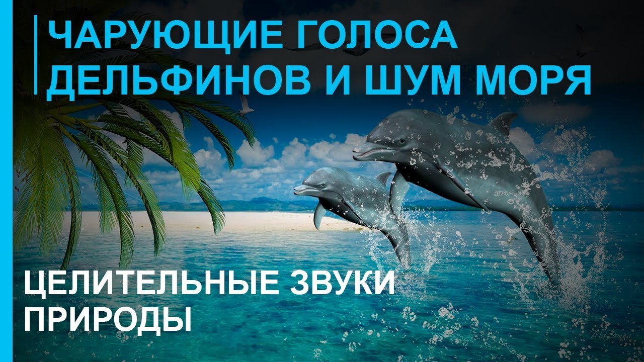 Музыка звуки моря скачать бесплатно