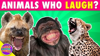Wild Animal Trivia: Can You Guess Them All?  #quiz #animal