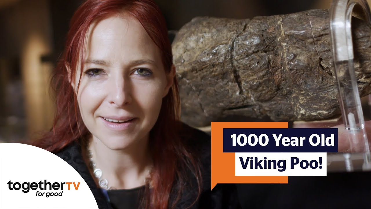 1000 Year Old VIKING POO One of The Most Infamous Finds In York