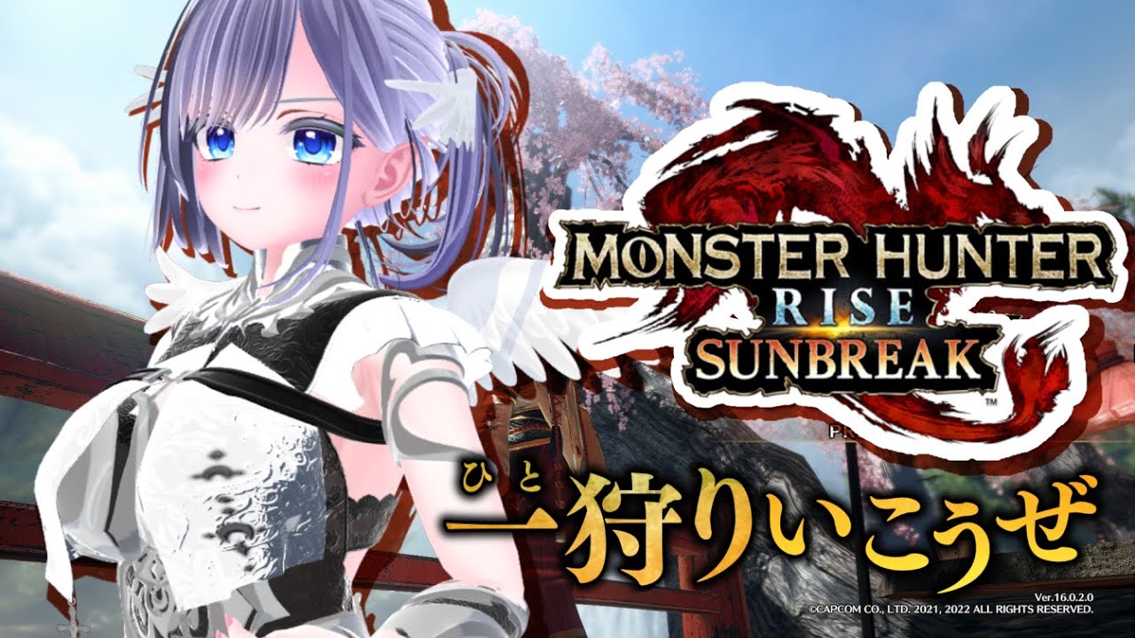 【参加型】はじめてのモンスターハンターライズswitch版【猫を愛でたい】　