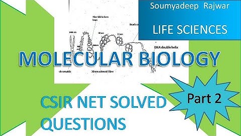 CSIR NET LIFE SCIENCE , MOLECULAR BIOLOGY. SOLVED QUESTIONS ( DECEMBER , 2014 ) (PART 2)
