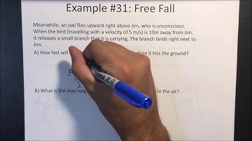 One Dimensional Kinematics (FreeFall) [2/2]