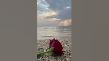 اشغلتني من بعد ماكنت خالي راشد الماجد ستوريات حالات واتساب حزينه ومعبره 