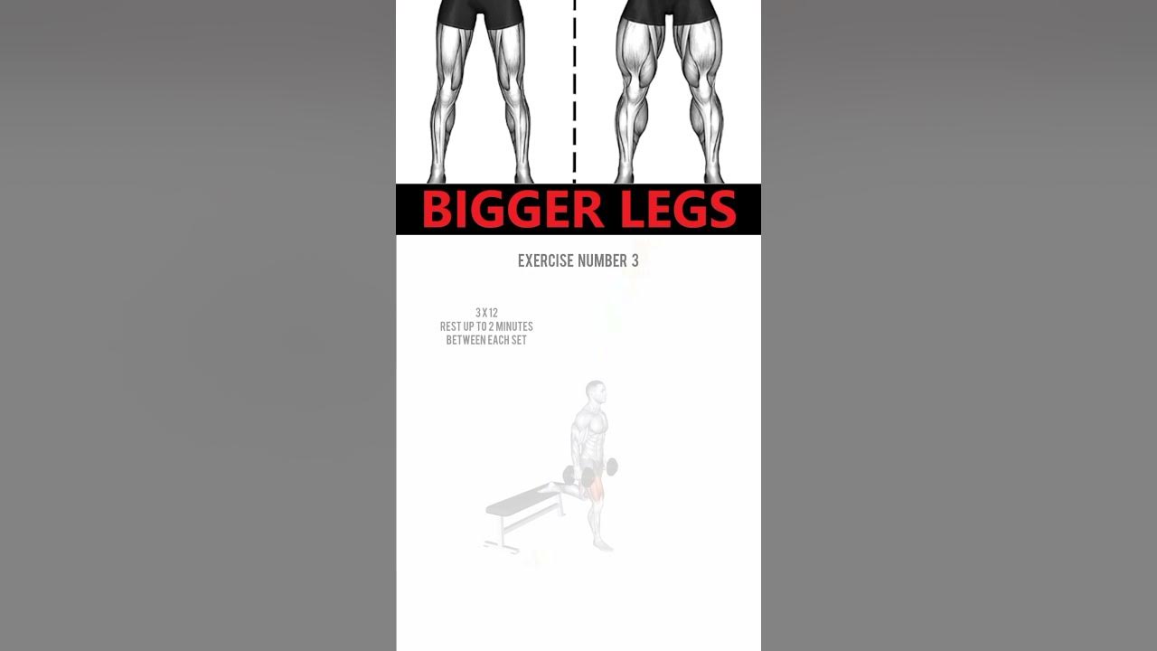 HOW TO GET BIGGER LEGS WITH DUMBBELLS shorts viral howto bigger how-to-get-bigger-legs-with-dumbbells-shorts-viral-howto-bigger