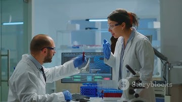 Swift Malaria Detection: Shallow Machine Learning Unveiled!